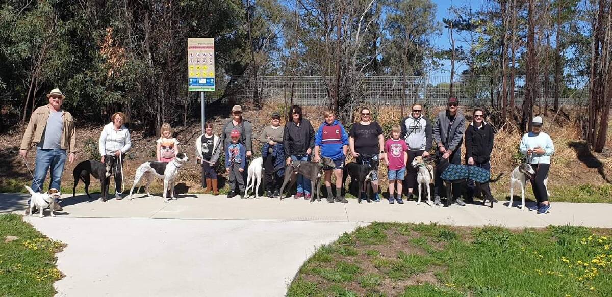 WALK AND TALK: October's Pack Walk welcomed a few non-greyhounds into the mix, which helps to socialise the dogs.