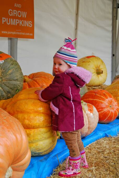 EAT YOUR VEG: Celebrate everything pumpkin-related at Collector on May 6.