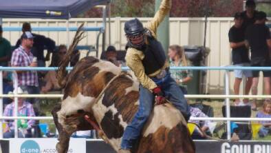 Catch the Goulburn Rodeo after a two year break on February 5, which will feature thrilling rides like this one by Jack Rattenbury from 2019. Photo: Darryl Fernance.