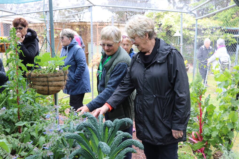 Margaret Cameron and Lynne Howe admiring Margaret Wilkes vegetables.