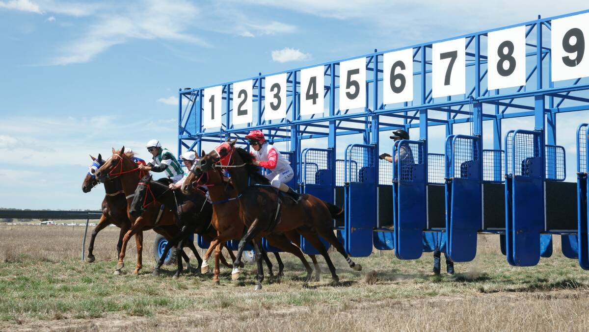 THEY'RE OFF: The horses will be on the track at he Binda Picnic Races on March 16.