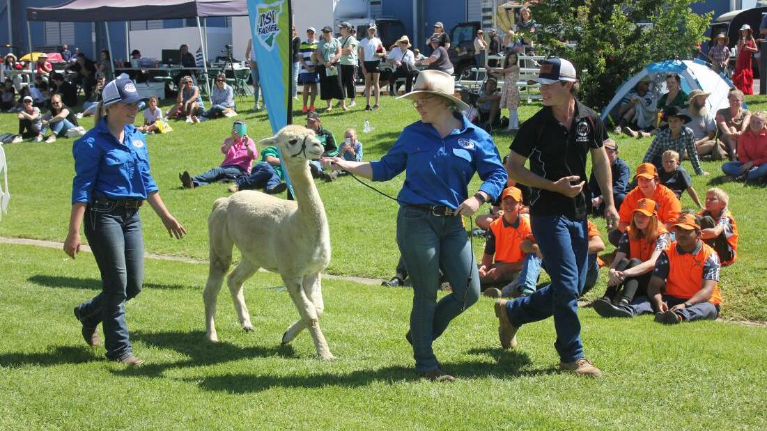 The NSW Farmers Goulburn Branch sponsored the Young Farmer Challenge.