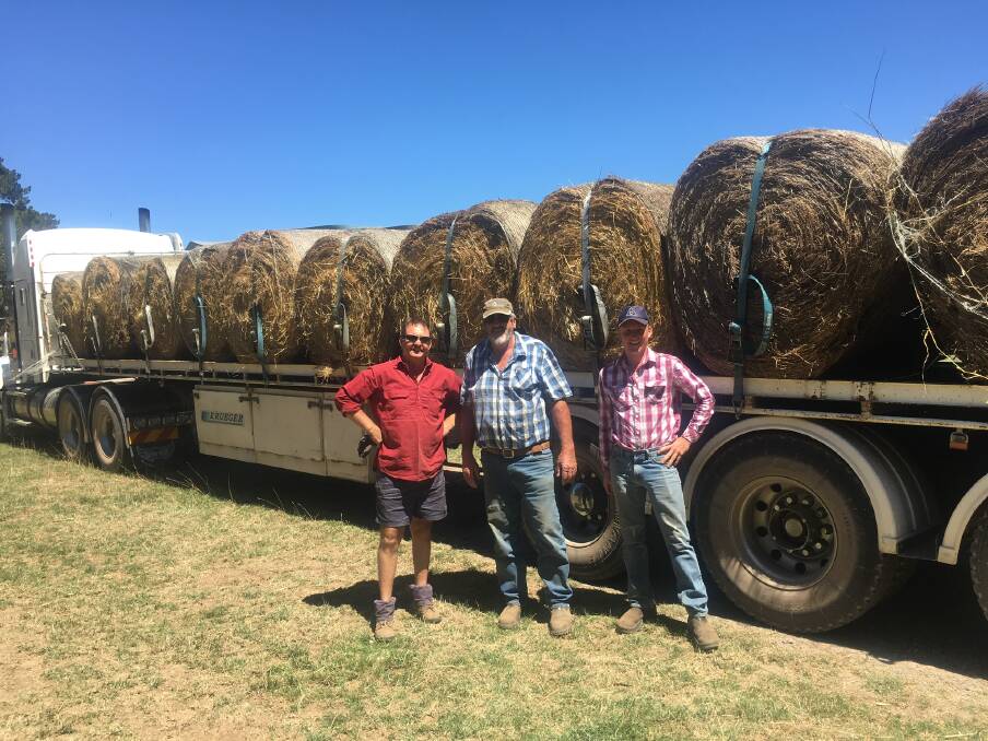 MERCY MISSION: Driver Damien White with hay collected from James Robertson and Bannaby Angus, loaded by James Boardman.