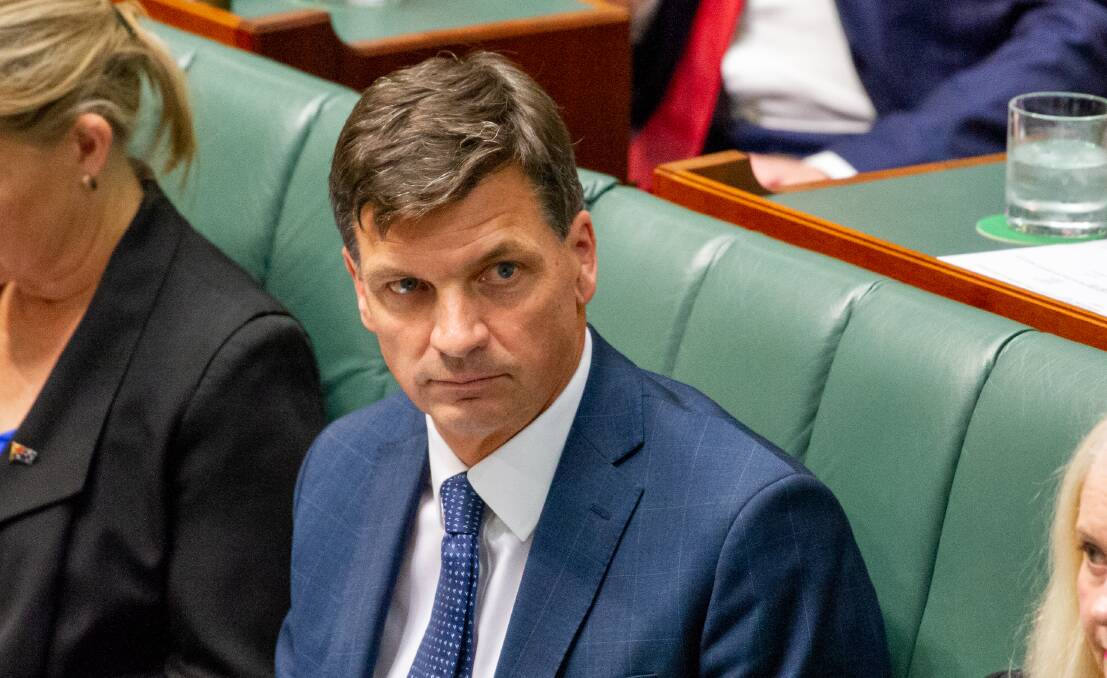 Angus Taylor has responded to findings that there was "no evidence" his office had downloaded an allegedly forged document. 