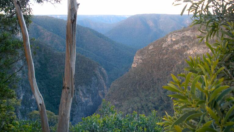 Adams Lookout at Bungonia National Park. Photo: NSW National Parks