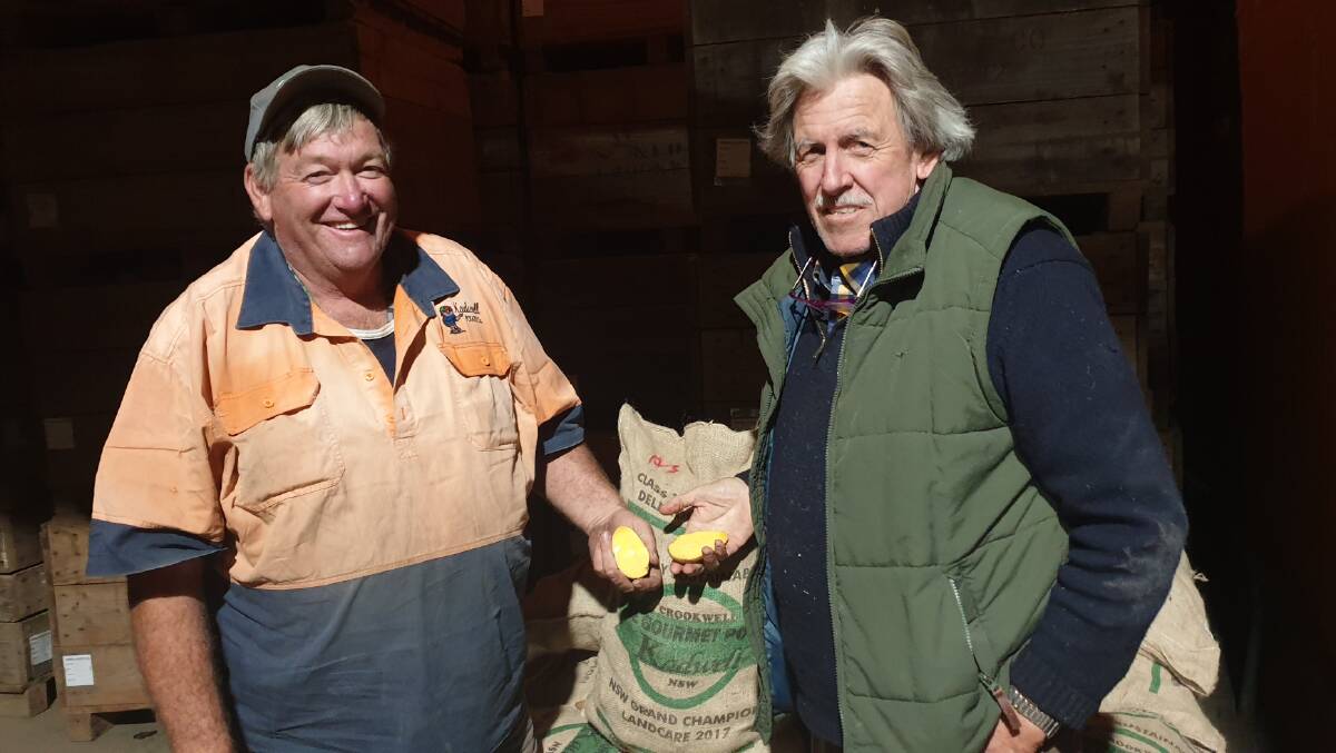 DELICIOUS: Garry Kadwell and Wentworth Hill with their award-winning Andean Sunrise potato.