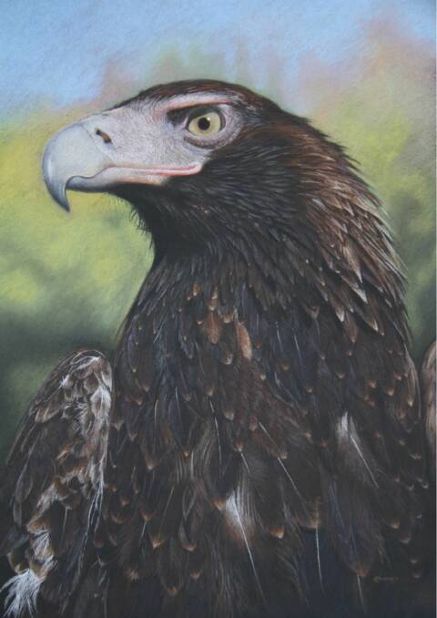 DETAILED: If you're looking for an expert teacher of pastels, Catherine Lidden is at the top of her game. This work is called Eagle Eyed.