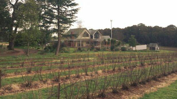 The Tromp family's home, and currant farm in Silvan.  Photo: Tom Cowie
