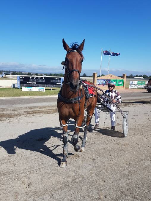 Previous winners: Stanley Ross Robyn following his win in the 2017 Walla Walla Stakes at Goulburn, and the winning driver is a very pleased Scott Hewitt. Photo: Mark Croatto.