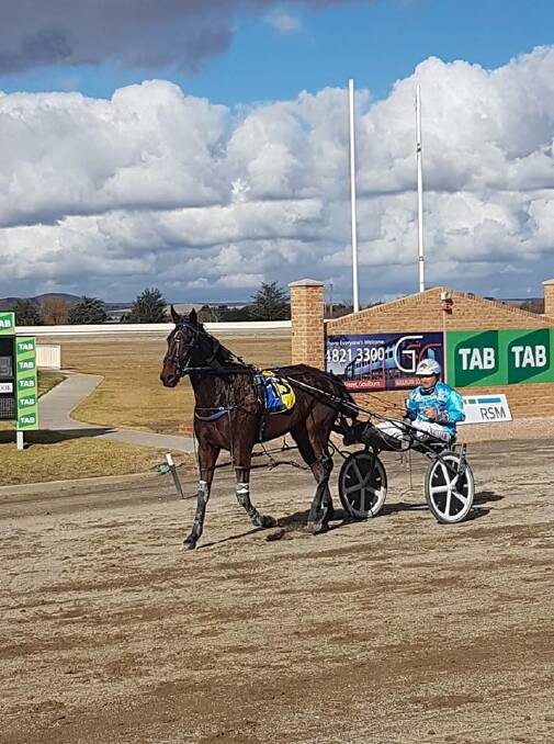 Near the finish: Harness racing is extremely popular in Goulburn. Photo: Goulburn Paceway. 