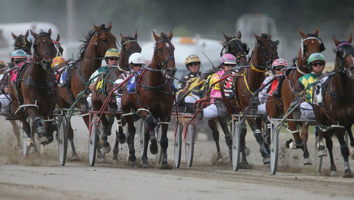 The Pack: The Goulburn Harness Racing Club will see off the 2019 season with its final meet this afternoon, which is scheduled to begin the first of six races from 12pm at the Goulburn Paceway. Photo: Lance Fearne.