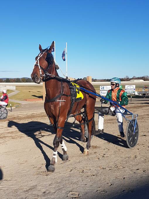 Former champ: 2017 Sapling Stakes winner Seeuinnashville standing proud and pleased after his meet-winning run two years ago at the same event at the Goulburn Paceway. Photo: Supplied.