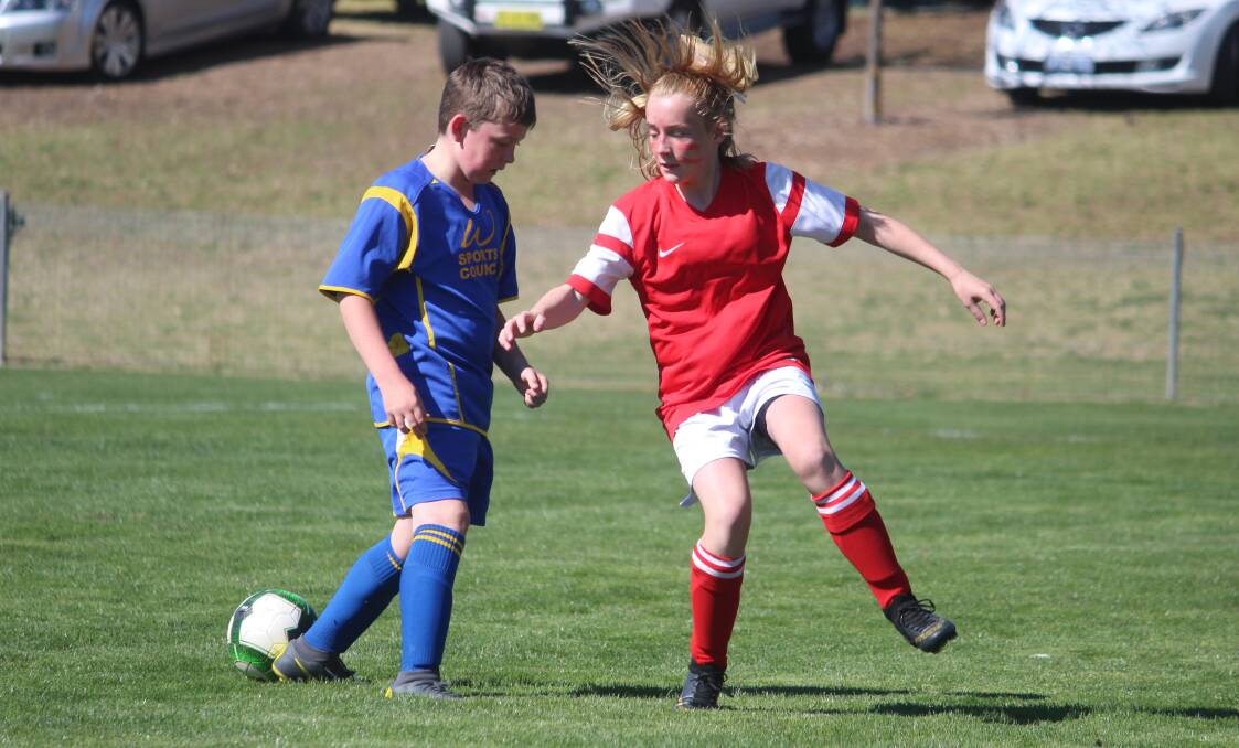 Sidestep: The local soccer competitions will have to wait a little bit longer to get underway following an announcement from the FFA. Photo: Zac Lowe.