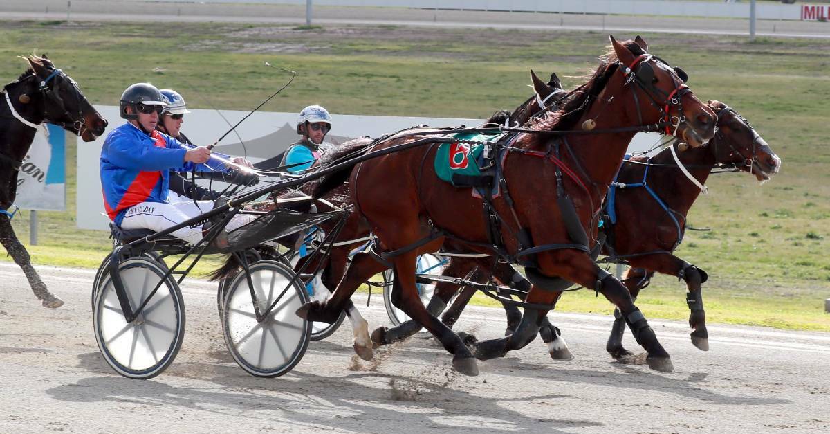 Slim lead: Dennis Day drives Neils Reactor to a solid victory in Wagga.