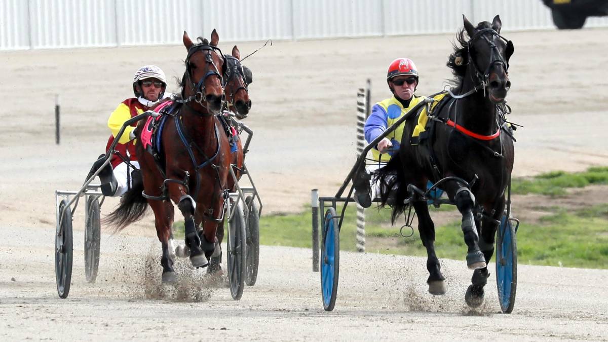 Winning path: Dance Away (right) builds his lead in the opening race at Wagga last Friday, on his way to claim an impressive victory. Photo: Les Smith.