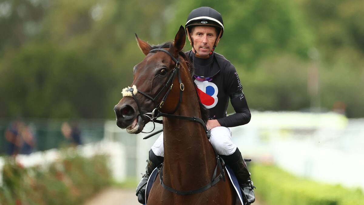 Toesonthenose will have Nash Rawiller on board at Randwick on Saturday. Picture Getty Images