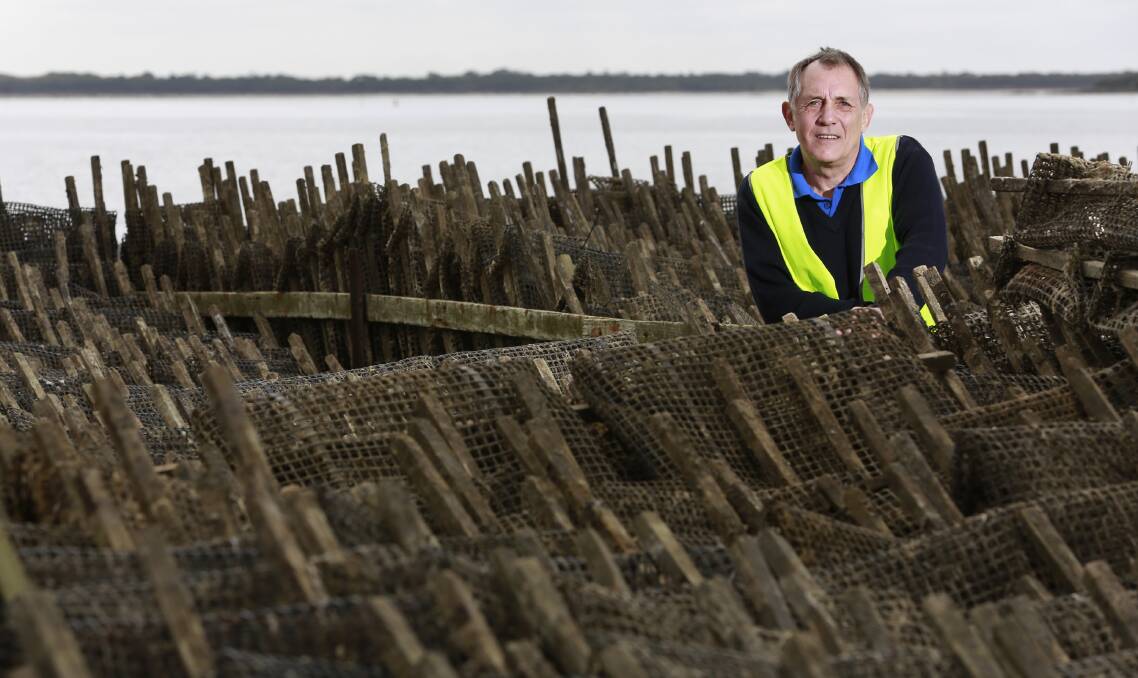 Market crash: Smithton oyster farmer Jon Poke says the industry was just getting back on its feet after POMS.