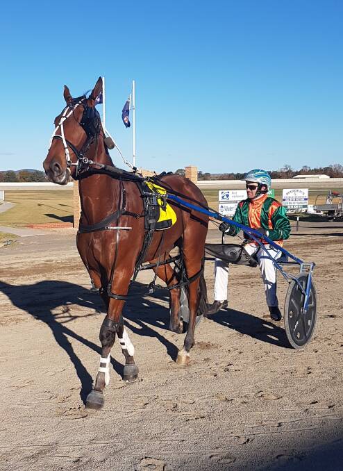 2017 Sapling Stakes winner Seeuninashville. This year, the two-year-old open feature has attracted a small but interesting field of six. Photo: Goulburn Harness Racing Club