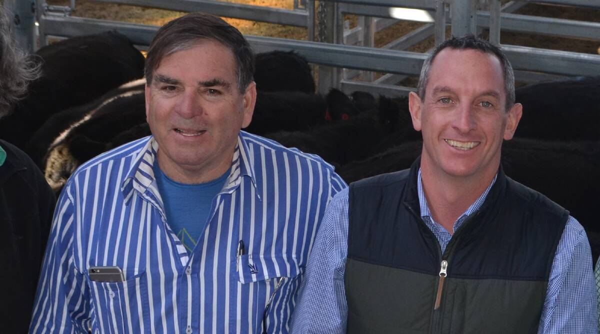 Brendan Abbey and Rohan Arnold after the opening cattle sale at the South Eastern Livestock Exchange (SELX) in Yass. Photo: The Land