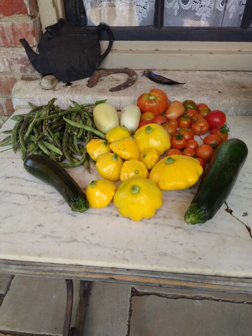 Riversdale's harvest of tomatoes, cucumbers, squash, beans and chard. Supplied