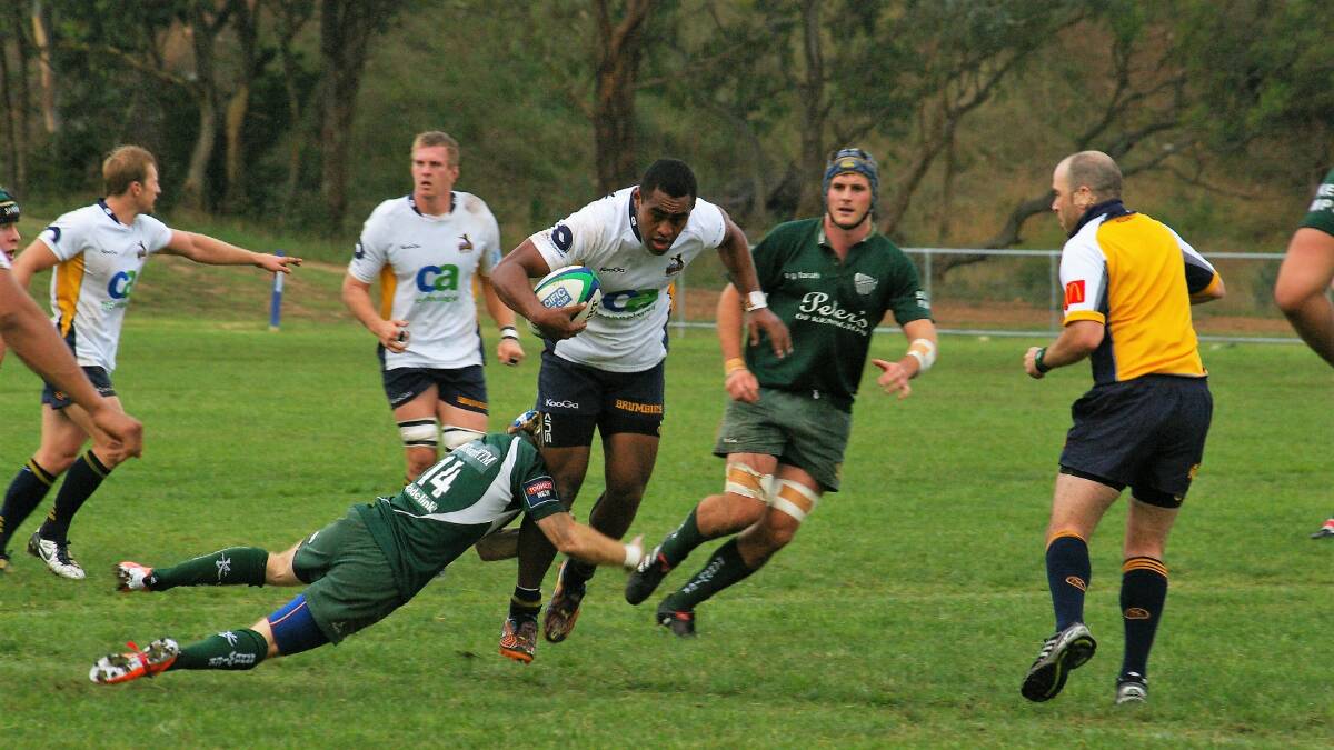 AROUND THE LEGS: Randwick defence cleans up a Brumbies Runner player looking for a gap during their 2011 encounter at Poidevin Oval. Photo: Chris Gordon