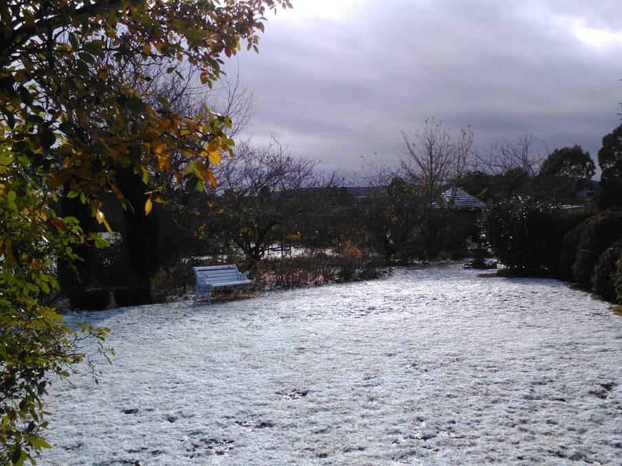 Recent fall of snow: Part of the eastern garden at Riversdale after last month's snow. Photo: Dawn Giles