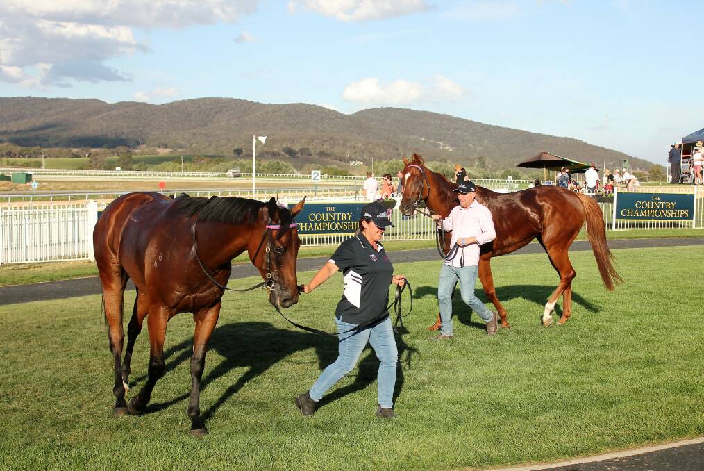 Double shot: Al Mah Haha (left) and Bocelli took the Goulburn qualifier quinella. Photo: Ainsleigh Sheridan.
