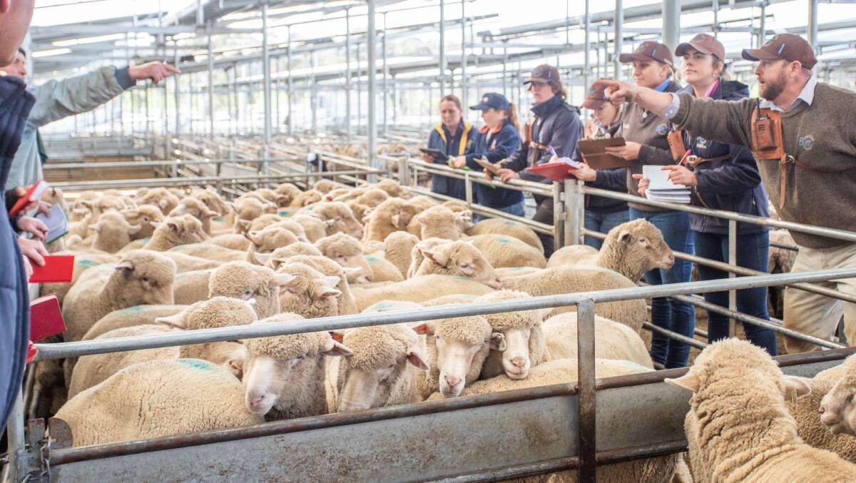 Tallawong Pastoral Co, Yass, topped the June 6 sale with these XB Lambs sold for $182 ph by Butt Livestock & Property.