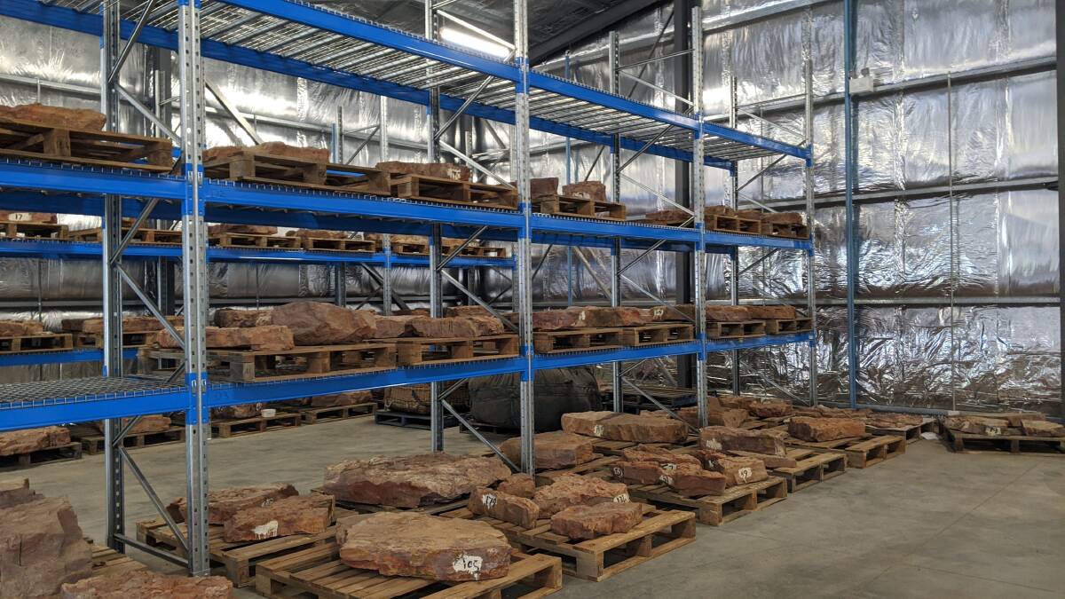 The majority of the 200 slabs, 80 tonnes of rock, are now stored in a temperature-controlled storage facility at the museum. Picture: Laura Corrigan.