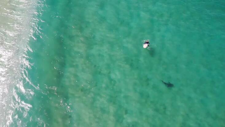 A still from drone footage at Werri Beach by Christopher Joye. 