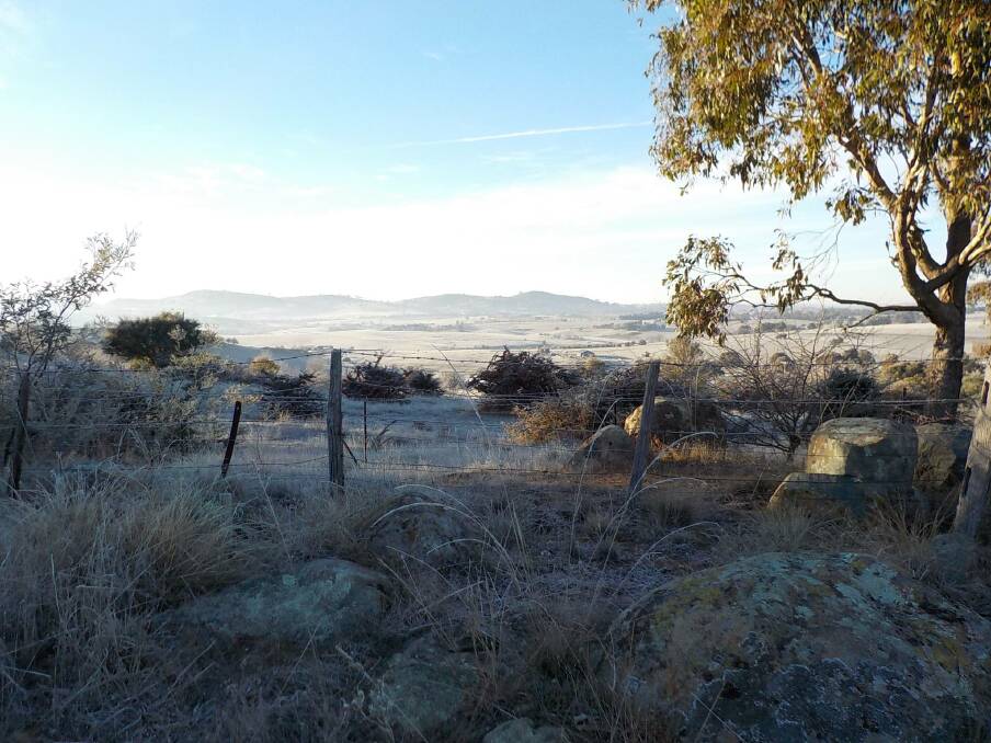 SHIVERING: A cold snap is predicted for the Southern Tablelands on May 11–13: Photo: David Ault.