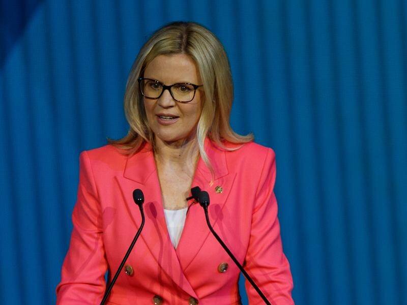 Australian Energy Producers chief Samantha McCulloch is calling for a credible energy strategy. (Matt Turner/AAP PHOTOS)