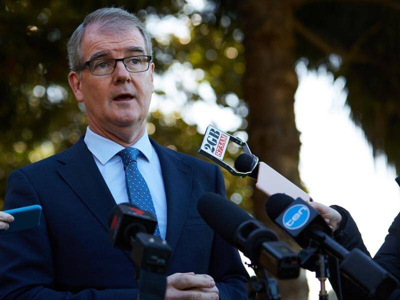 Acting NSW opposition leader Michael Daley has called on MP Daryl Maguire to resign from politics.