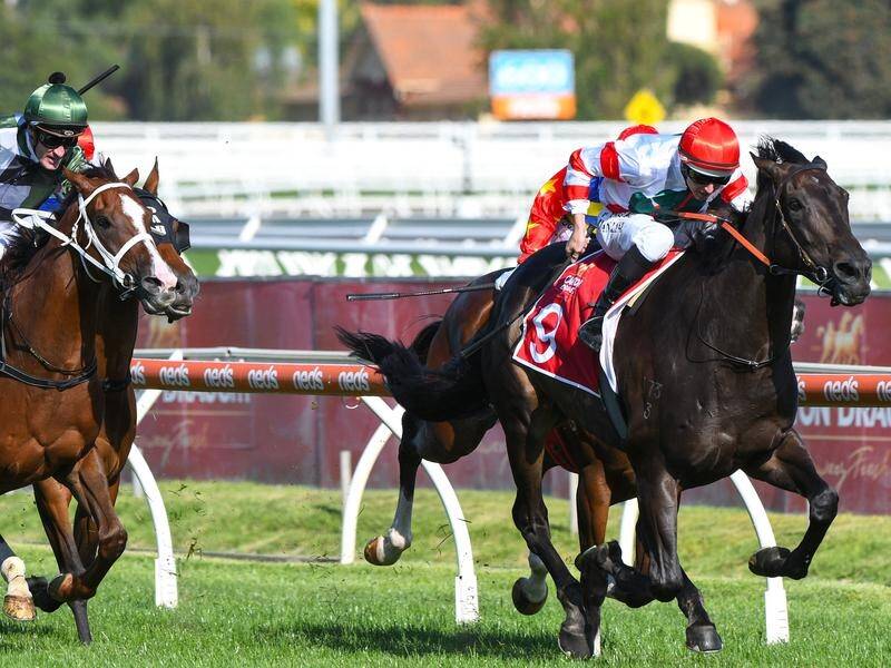 Miss Siska has graduated to weight-for-age level in beating a field of Australian Cup contenders.