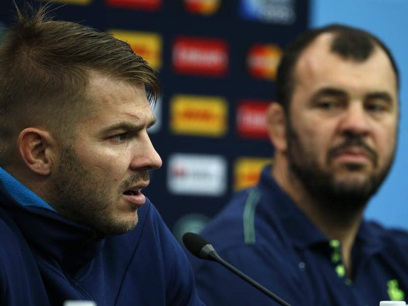 Former Wallaby Drew Mitchell is unimpressed coach Michael Cheika has been described as Mickey Mouse.