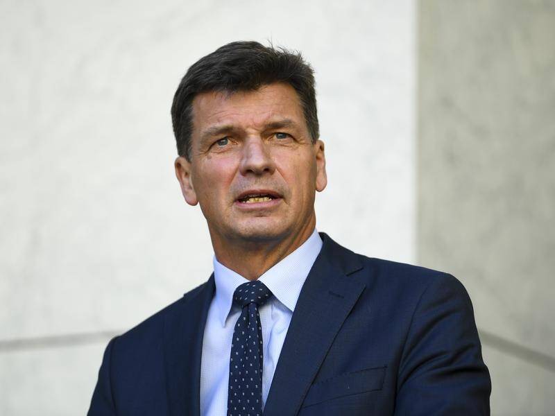 Energy Minister Angus Taylor has rejected a business proposal to tighten climate safeguards.