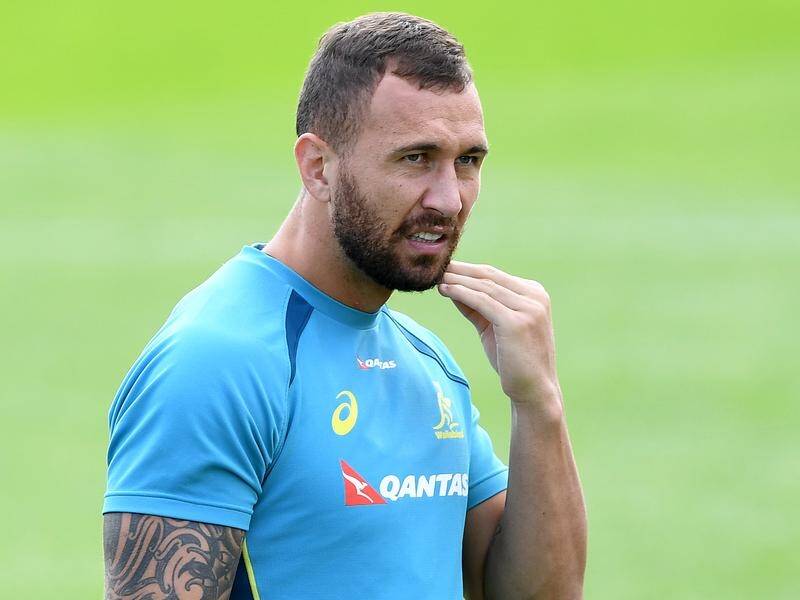 Quade Cooper is Melbourne's highest-profile recruit for the 2019 Super Rugby season.