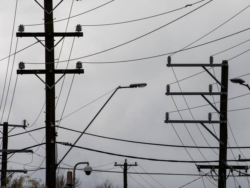 Australians have paid too much for electricity transmission for years, the independent report found. (Diego Fedele/AAP PHOTOS)