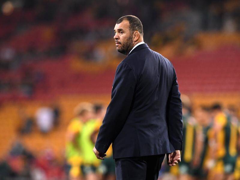 Wallabies coach Michael Cheika has been backed by Rugby Australia after talks in Sydney on Friday.
