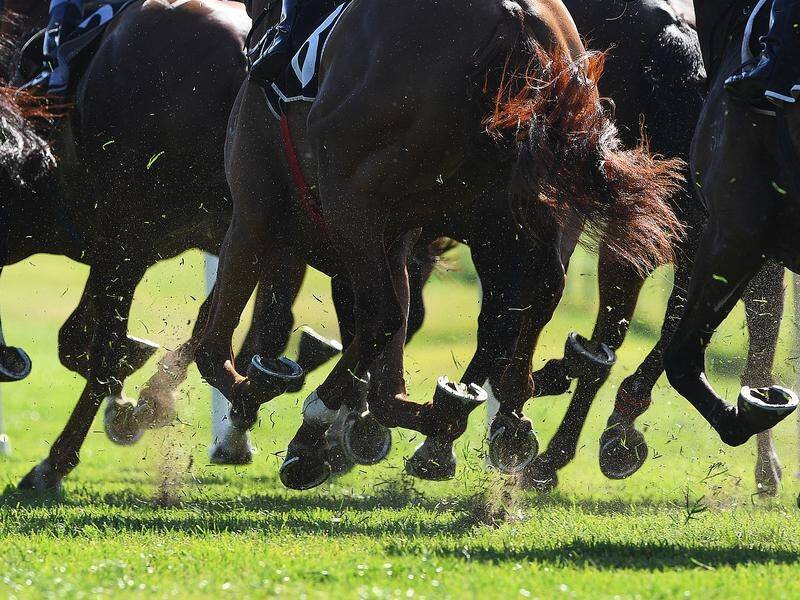 A Victorian trainer has had his licence suspended after failing to get his horses veterinary care.