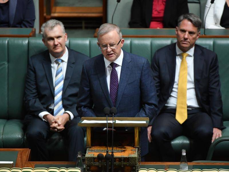 Opposition Leader Anthony Albanese makes his budget reply speech in the House of Representatives.