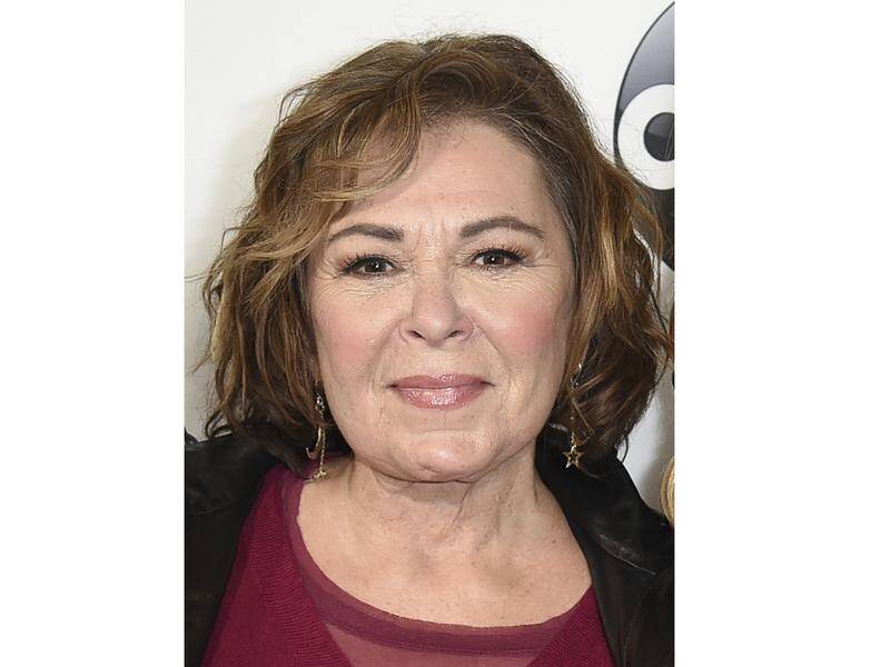 Roseanne Barr has no part in a new series announced after her namesake TV show was axed.