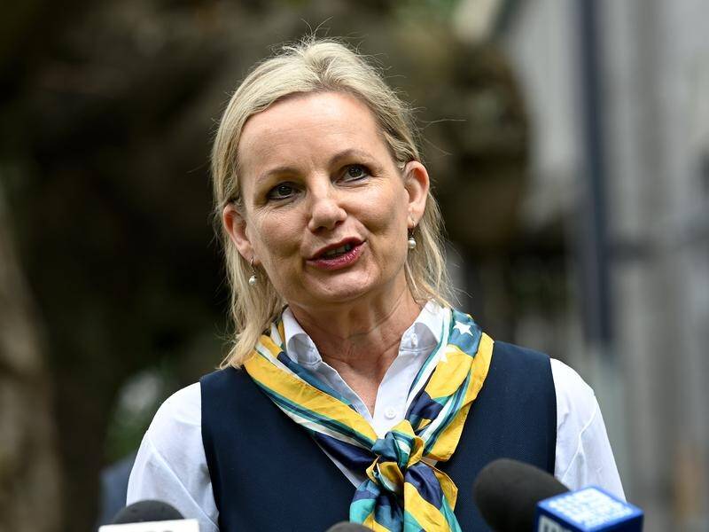 Three Federal Court judges have ruled in favour of Sussan Ley in a case students took against her.