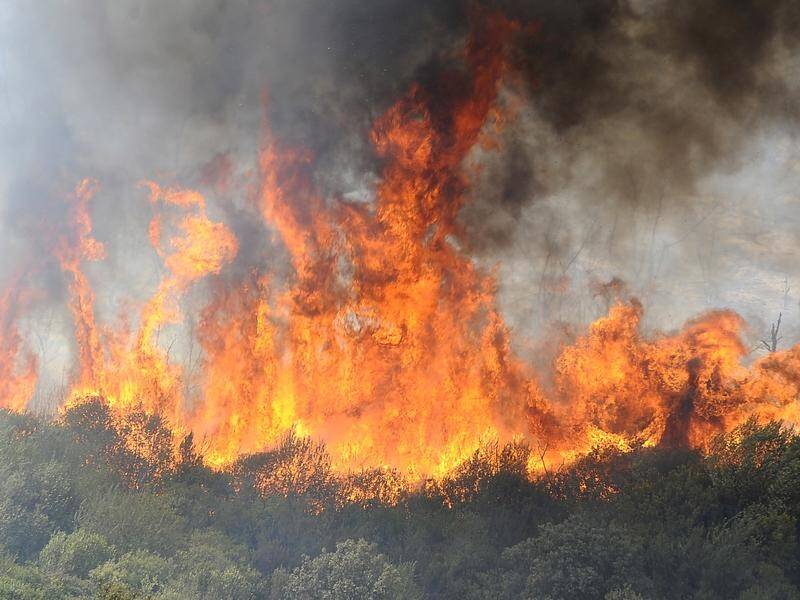 Authorities in Algeria are battling forest fires in the mountainous regions of Bejaia and Bouira. (EPA PHOTO)