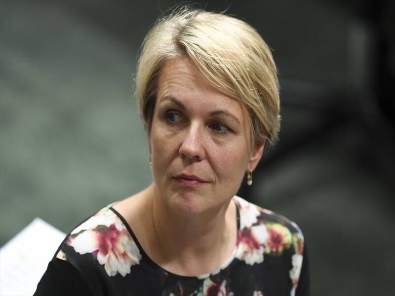 Tanya Plibersek has declined to rule out a no confidence motion in the government.