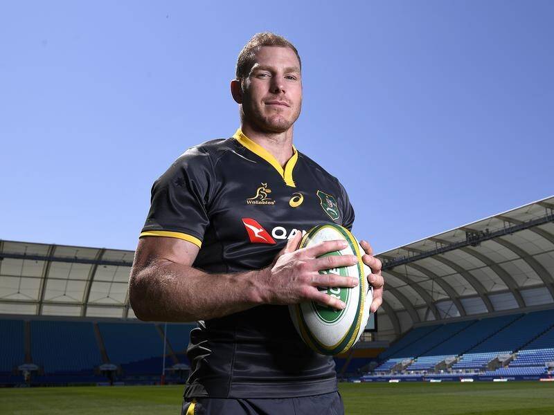 David Pocock will step in for injured Wallabies skipper Michael Hooper against Argentina.