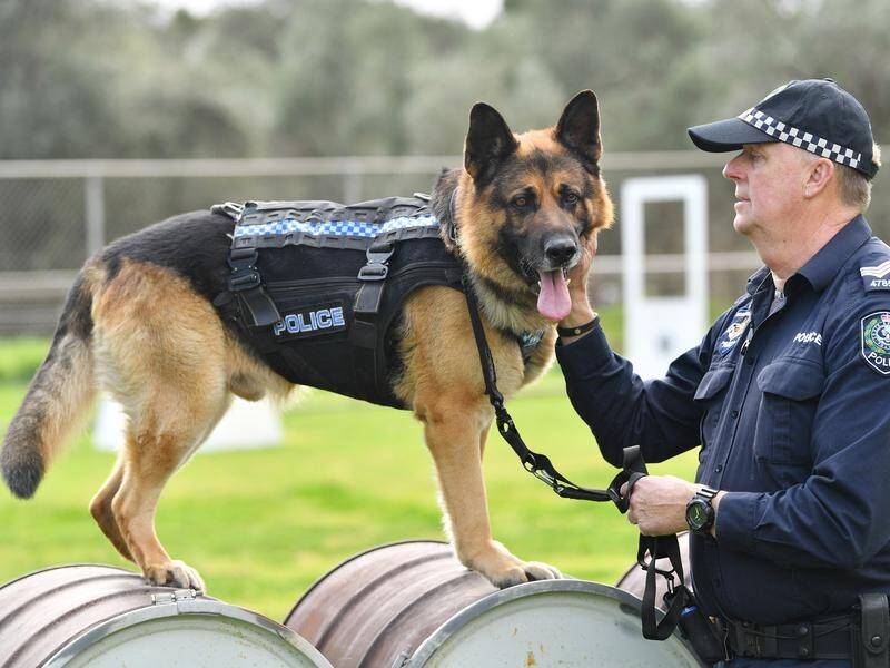 Sergeant Darryn Conroy and Ice have both given exemplary service to the South Australian community.