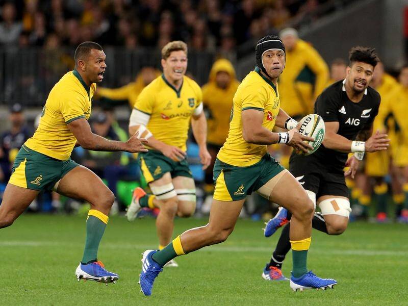 The Wallabies have merely bought themselves a ticket to Eden Park, coach Michael Cheika says.