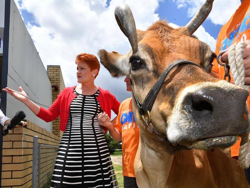 Pauline Hanson has won support for a parliamentary inquiry into re-regulating the dairy industry.