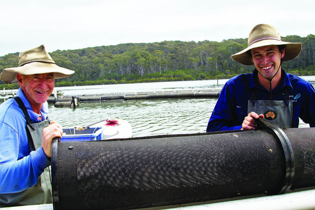 GROWING SUCCESS: Tathra Oysters owner Gary Rodely with his son Sam, the oyster farm’s manager. 